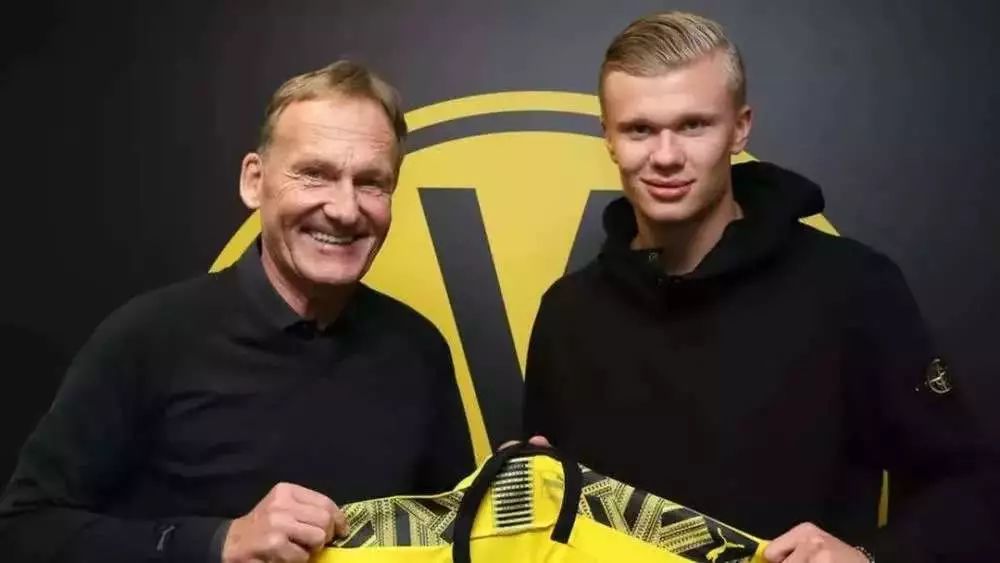 篮球篮网球迷线下活动吸引大量参与（篮网球迷线下活动人气爆棚）